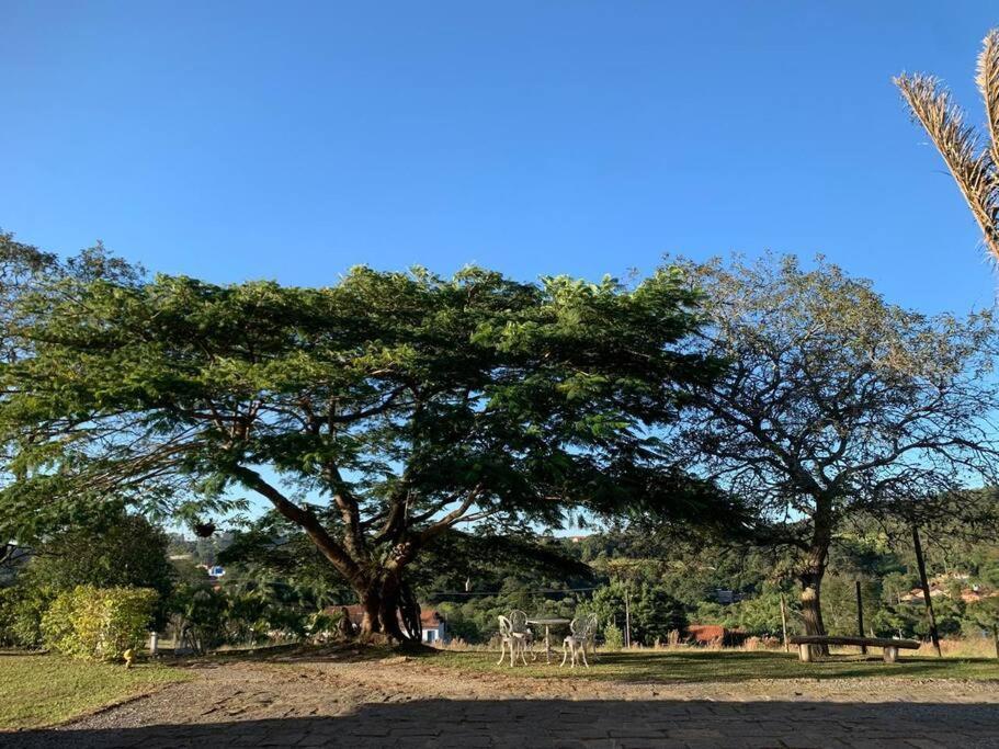 Quarto Dos Vinhos Villa São Roque Dış mekan fotoğraf