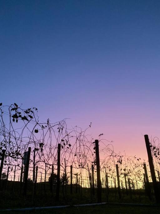 Quarto Dos Vinhos São Roque Dış mekan fotoğraf